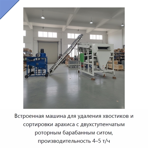 Встроенная машина для удаления хвостиков и сортировки арахиса с двухступенчатым роторным барабанным ситом, производительность 4–5 т/ч