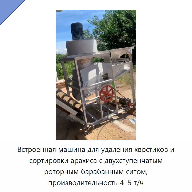 Встроенная машина для удаления хвостиков и сортировки арахиса с двухступенчатым роторным барабанным ситом, производительность 4–5 т/ч