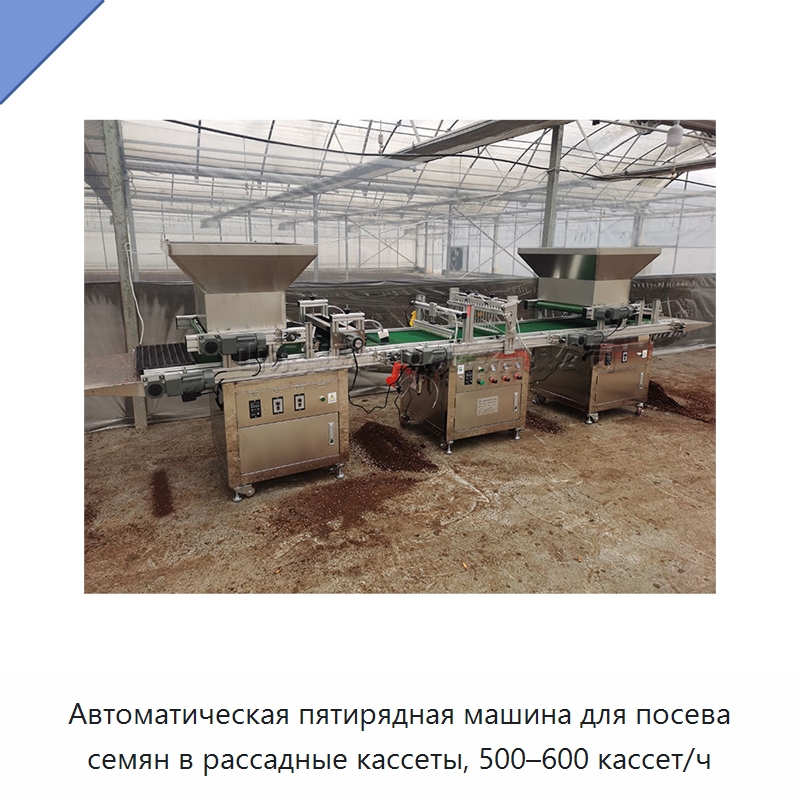 Автоматическая пятирядная машина для посева семян в рассадные кассеты, 500–600 кассет/ч — Сеялки и рассадопосадочные машины