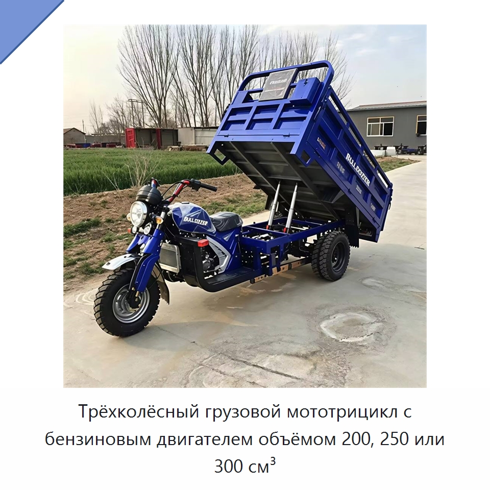 Трёхколёсный грузовой мототрицикл с бензиновым двигателем объёмом 200, 250 или 300 см³ — Специальные машины и промышленное оборудование