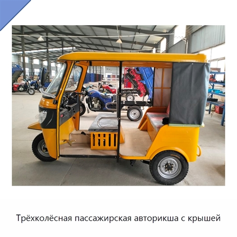 Трёхколёсная пассажирская авторикша с крышей