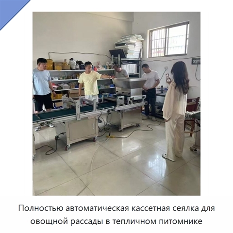 Полностью автоматическая кассетная сеялка для овощной рассады в тепличном питомнике