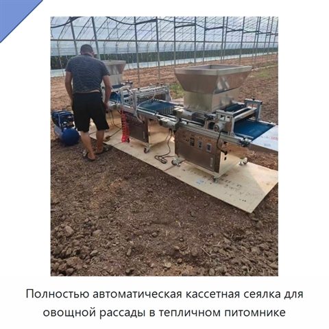 Полностью автоматическая кассетная сеялка для овощной рассады в тепличном питомнике
