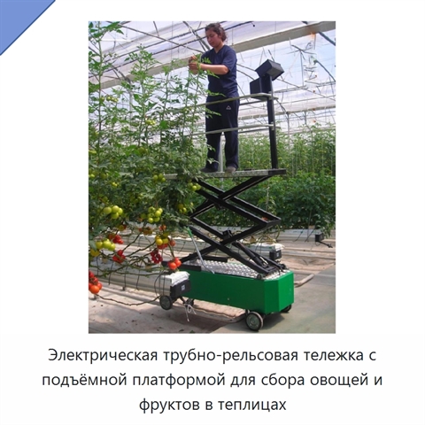 Электрическая трубно-рельсовая тележка с подъёмной платформой для сбора овощей и фруктов в теплицах