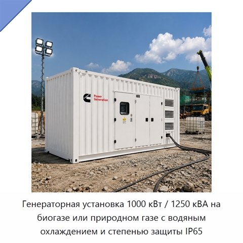 Генераторная установка 1000 кВт / 1250 кВА на биогазе или природном газе с водяным охлаждением и степенью защиты IP65