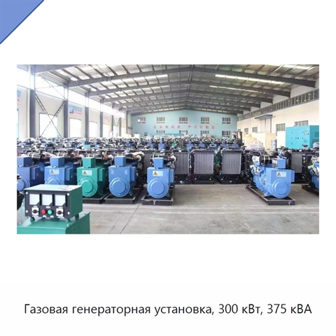 Газовая генераторная установка, 300 кВт, 375 кВА