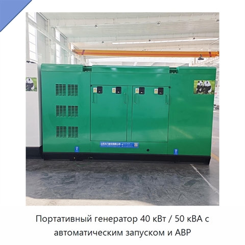 Портативный генератор 40 кВт / 50 кВА с автоматическим запуском и АВР