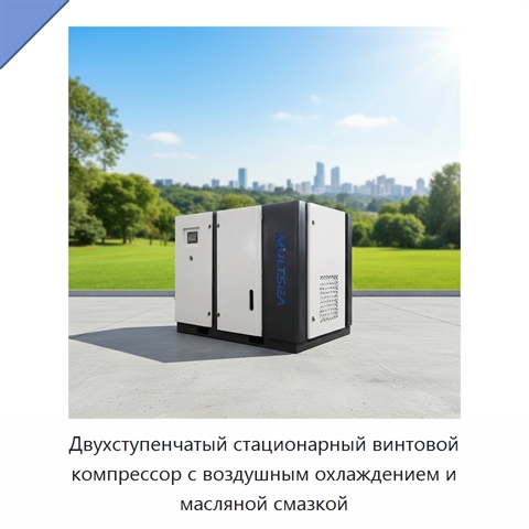 Двухступенчатый стационарный винтовой компрессор с воздушным охлаждением и масляной смазкой