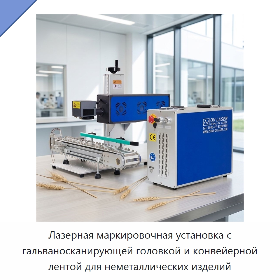 Лазерная маркировочная установка с гальваносканирующей головкой и конвейерной лентой для неметаллических изделий — Лазерные маркировочные станки