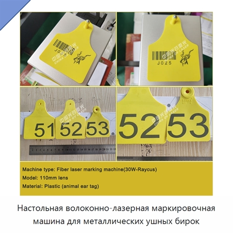 Настольная волоконно-лазерная маркировочная машина для металлических ушных бирок