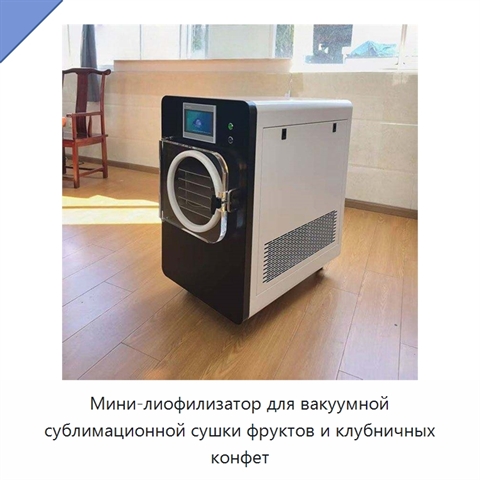 Мини-лиофилизатор для вакуумной сублимационной сушки фруктов и клубничных конфет