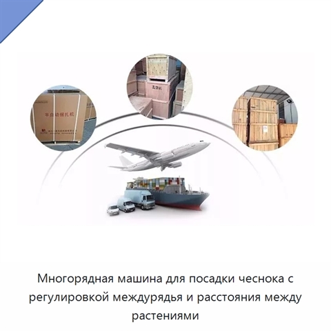 Многорядная машина для посадки чеснока с регулировкой междурядья и расстояния между растениями