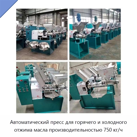 Автоматический пресс для горячего и холодного отжима масла производительностью 750 кг/ч