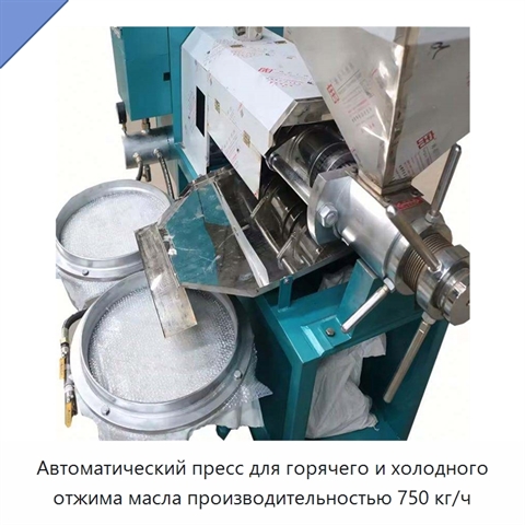 Автоматический пресс для горячего и холодного отжима масла производительностью 750 кг/ч