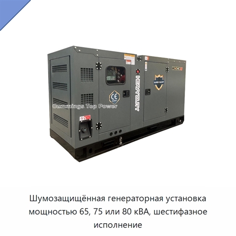Шумозащищённая генераторная установка мощностью 65, 75 или 80 кВА, шестифазное исполнение