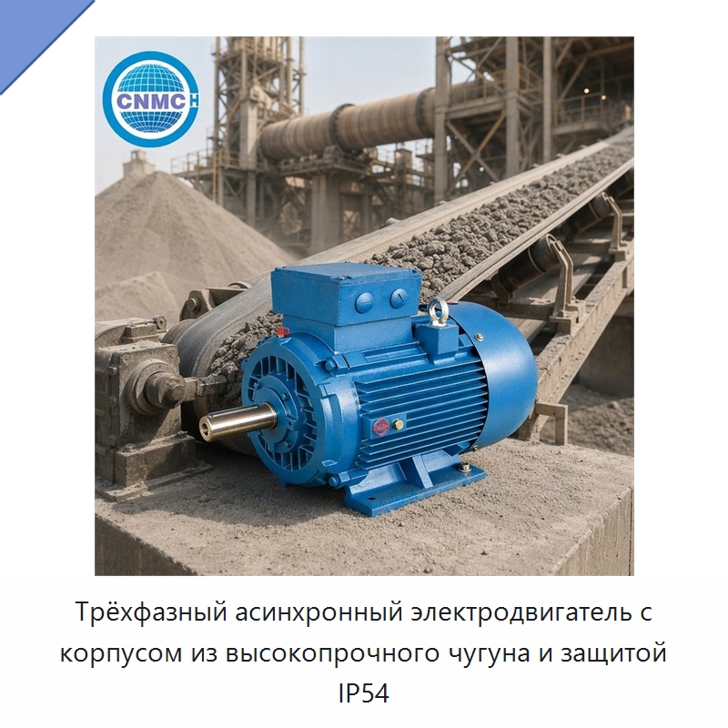 Трёхфазный асинхронный электродвигатель с корпусом из высокопрочного чугуна и защитой IP54 — Специальные генераторы
