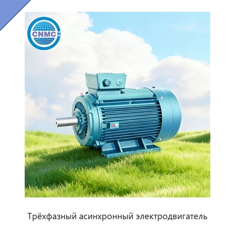Трёхфазный асинхронный электродвигатель