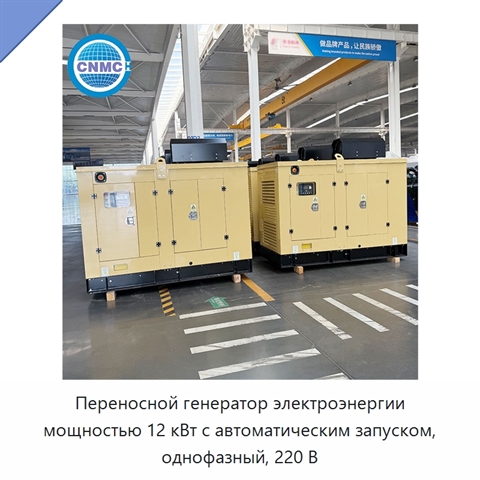 Переносной генератор электроэнергии мощностью 12 кВт с автоматическим запуском, однофазный, 220 В
