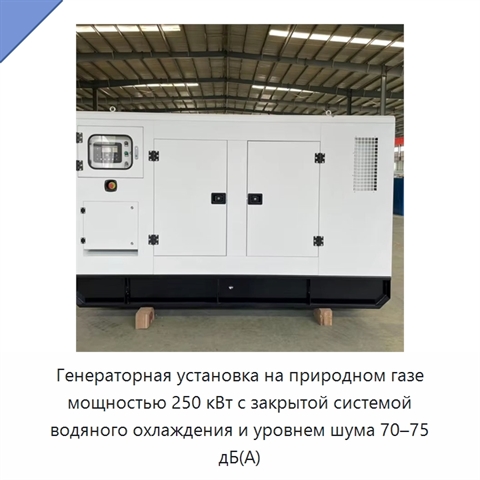 Генераторная установка на природном газе мощностью 250 кВт с закрытой системой водяного охлаждения и уровнем шума 70–75 дБ(А)