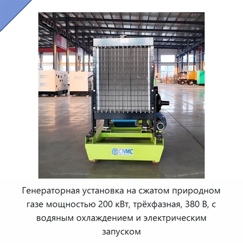 Генераторная установка на сжатом природном газе мощностью 200 кВт, трёхфазная, 380 В, с водяным охлаждением и электрическим запуском