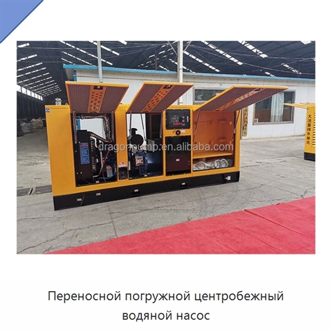 Переносной погружной центробежный водяной насос