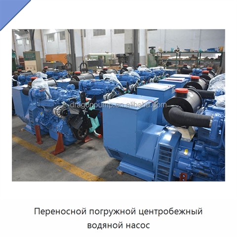 Переносной погружной центробежный водяной насос