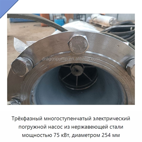Трёхфазный многоступенчатый электрический погружной насос из нержавеющей стали мощностью 75 кВт, диаметром 254 мм