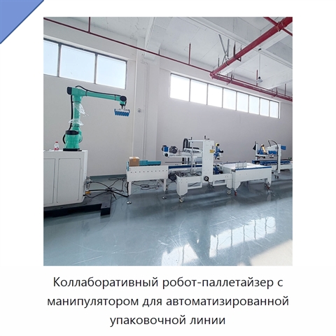 Коллаборативный робот-паллетайзер с манипулятором для автоматизированной упаковочной линии