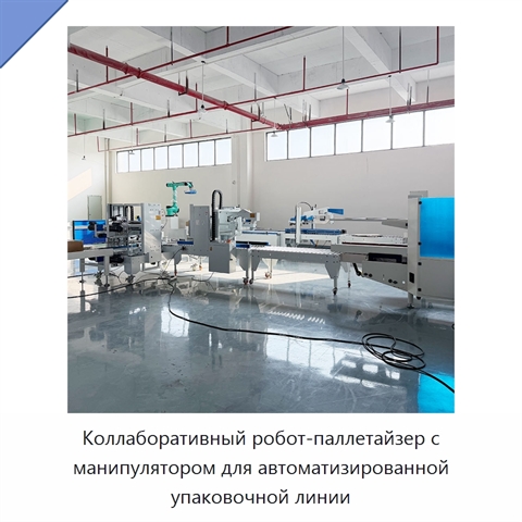 Коллаборативный робот-паллетайзер с манипулятором для автоматизированной упаковочной линии