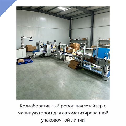 Коллаборативный робот-паллетайзер с манипулятором для автоматизированной упаковочной линии
