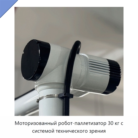 Моторизованный робот-паллетизатор 30 кг с системой технического зрения