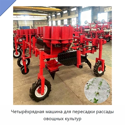 Четырёхрядная машина для пересадки рассады овощных культур