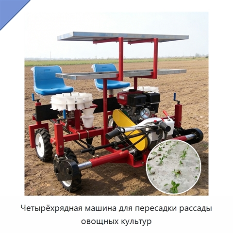 Четырёхрядная машина для пересадки рассады овощных культур