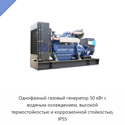 Однофазный газовый генератор 50 кВт с водяным охлаждением, высокой термостойкостью и коррозионной стойкостью, IP55