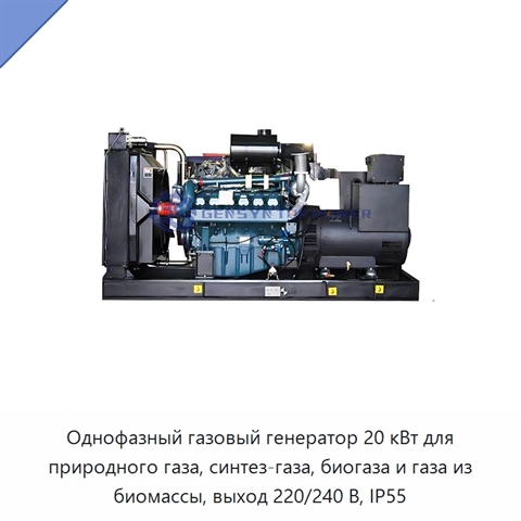 Однофазный газовый генератор 20 кВт для природного газа, синтез-газа, биогаза и газа из биомассы, выход 220/240 В, IP55