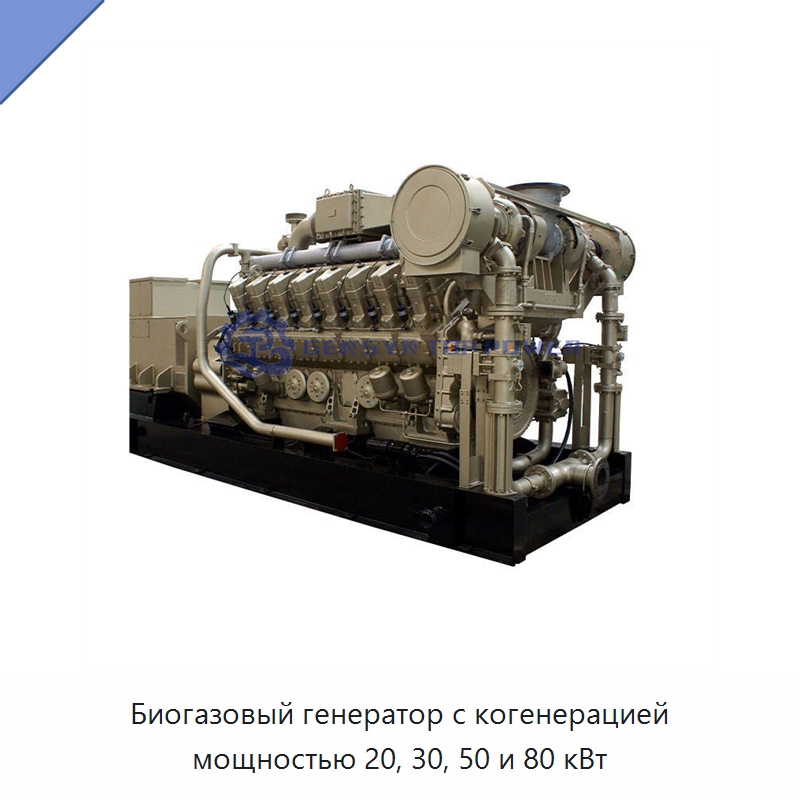 Биогазовый генератор с когенерацией мощностью 20, 30, 50 и 80 кВт — Газотурбинные генераторы