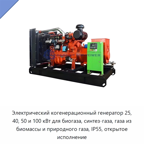 Электрический когенерационный генератор 25, 40, 50 и 100 кВт для биогаза, синтез-газа, газа из биомассы и природного газа, IP55, открытое исполнение