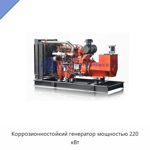 Коррозионностойкий генератор мощностью 220 кВт