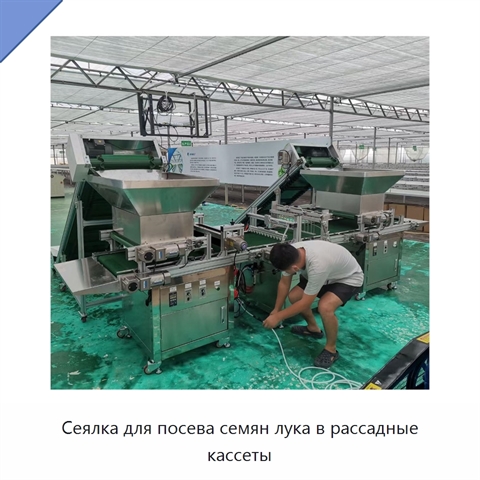 Сеялка для посева семян лука в рассадные кассеты