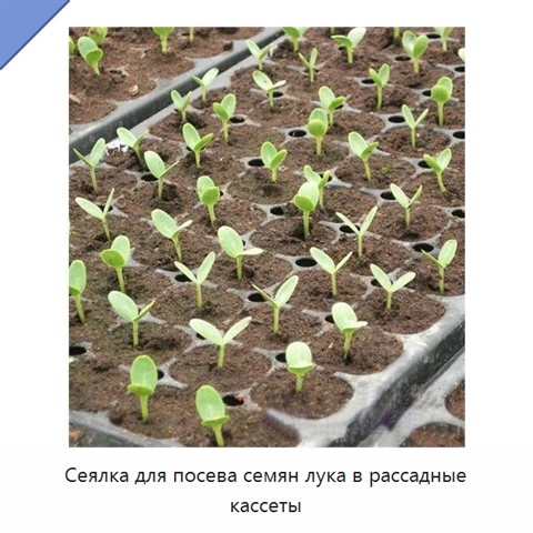 Сеялка для посева семян лука в рассадные кассеты