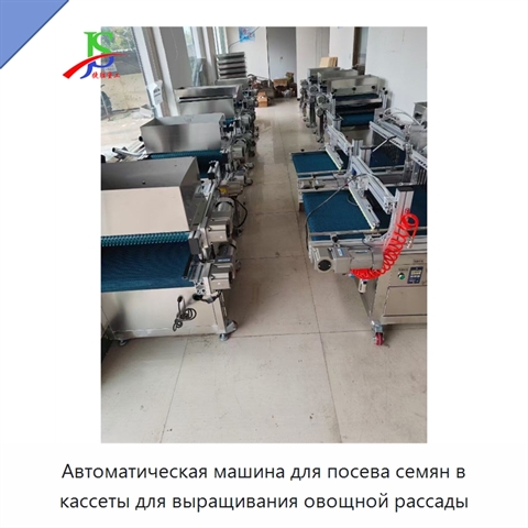 Автоматическая машина для посева семян в кассеты для выращивания овощной рассады