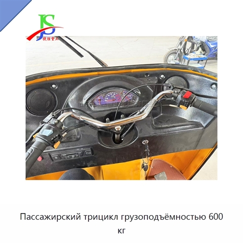 Пассажирский трицикл грузоподъёмностью 600 кг