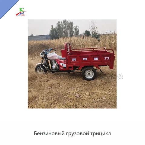 Бензиновый грузовой трицикл