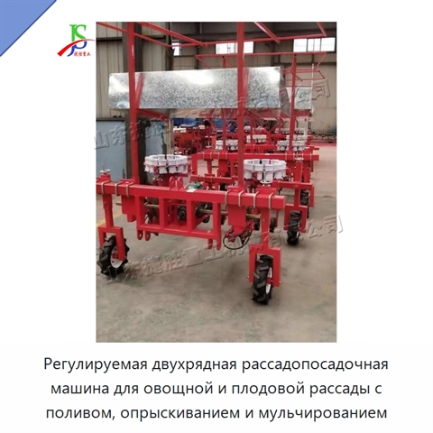 Регулируемая двухрядная рассадопосадочная машина для овощной и плодовой рассады с поливом, опрыскиванием и мульчированием