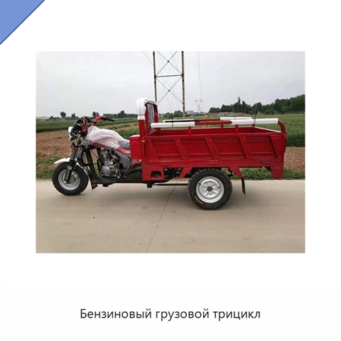 Бензиновый грузовой трицикл