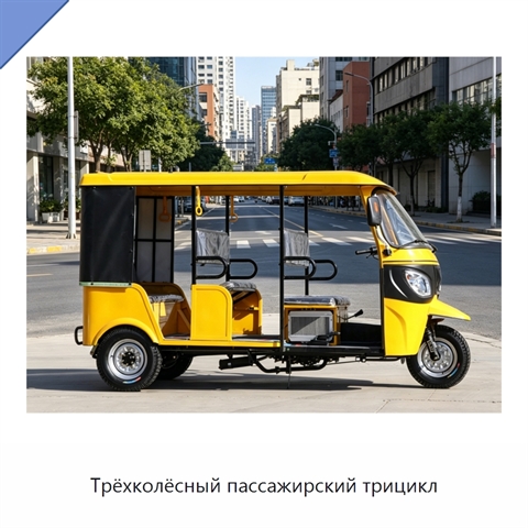 Трёхколёсный пассажирский трицикл