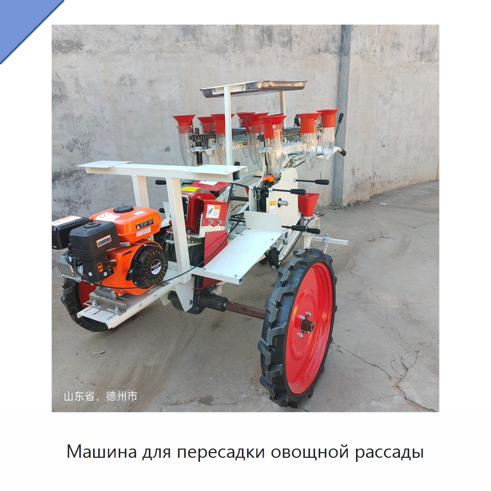Машина для пересадки овощной рассады — Сеялки и рассадопосадочные машины