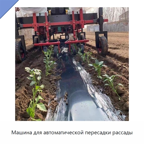 Машина для автоматической пересадки рассады