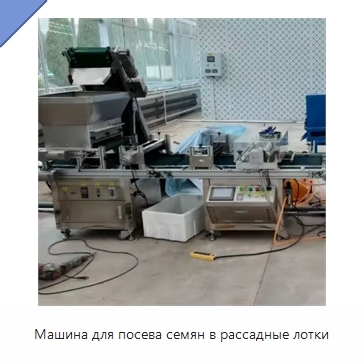 Машина для посева семян в рассадные лотки