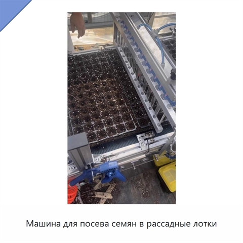 Машина для посева семян в рассадные лотки